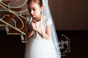 Veil for the girl on the first Communion. Handmade.