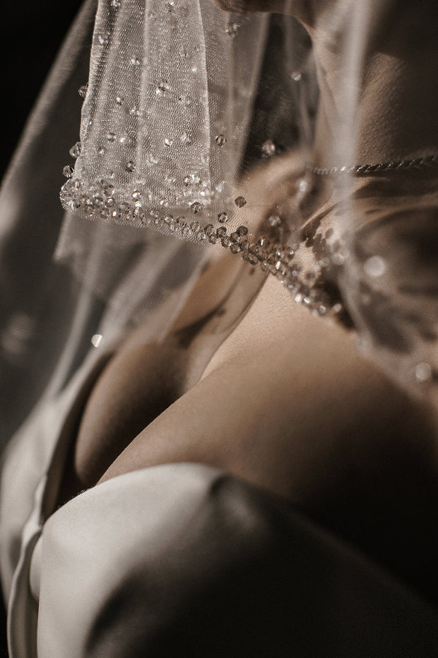 Scattered Crystals Embroidered Wedding Veil.