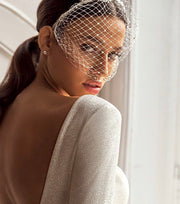 Birdcage with crystals on headband, French veil netting headpiece.